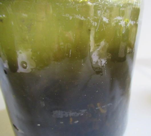 TWO APOTHECARY CLEAR GLASS DISPLAY MUSHROOMS Image