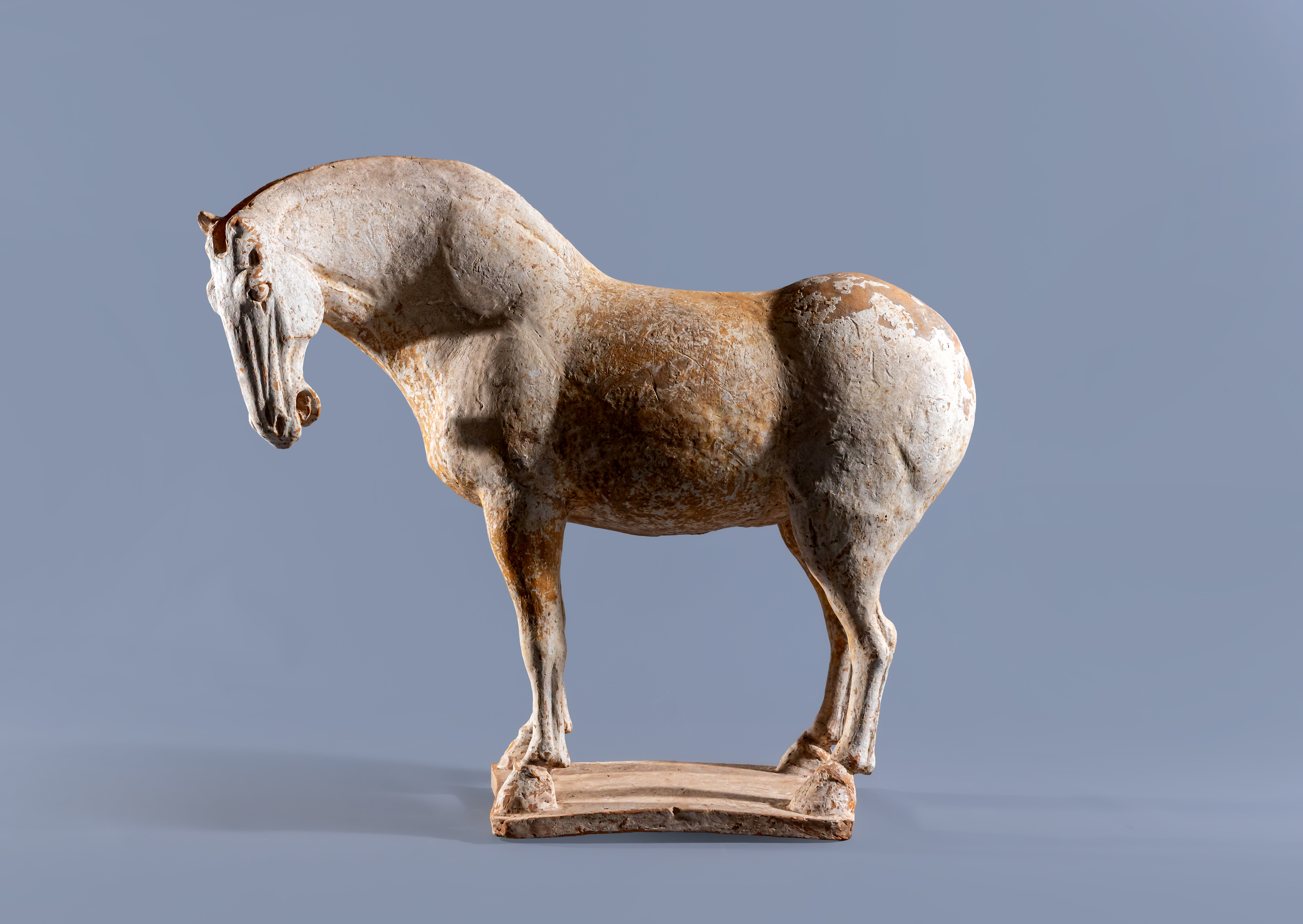A CHINESE TANG DYNASTY TERRACOTTA HORSE with deep carved mane groove and hole for tail Image