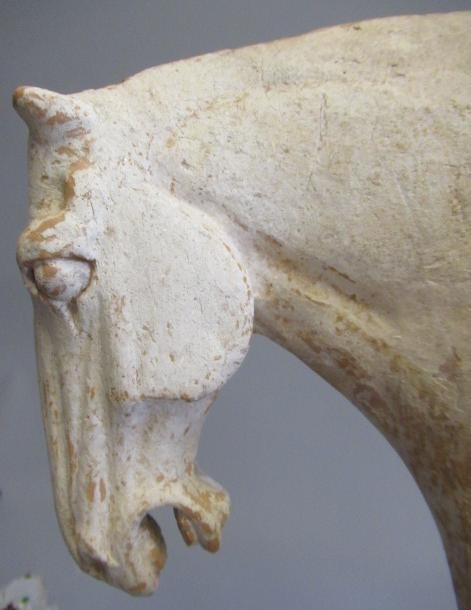 A CHINESE TANG DYNASTY TERRACOTTA HORSE with deep carved mane groove and hole for tail Image