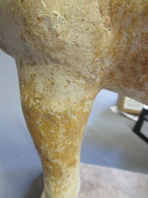 A CHINESE TANG DYNASTY TERRACOTTA HORSE with deep carved mane groove and hole for tail Image