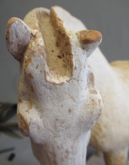 A CHINESE TANG DYNASTY TERRACOTTA HORSE with deep carved mane groove and hole for tail Image
