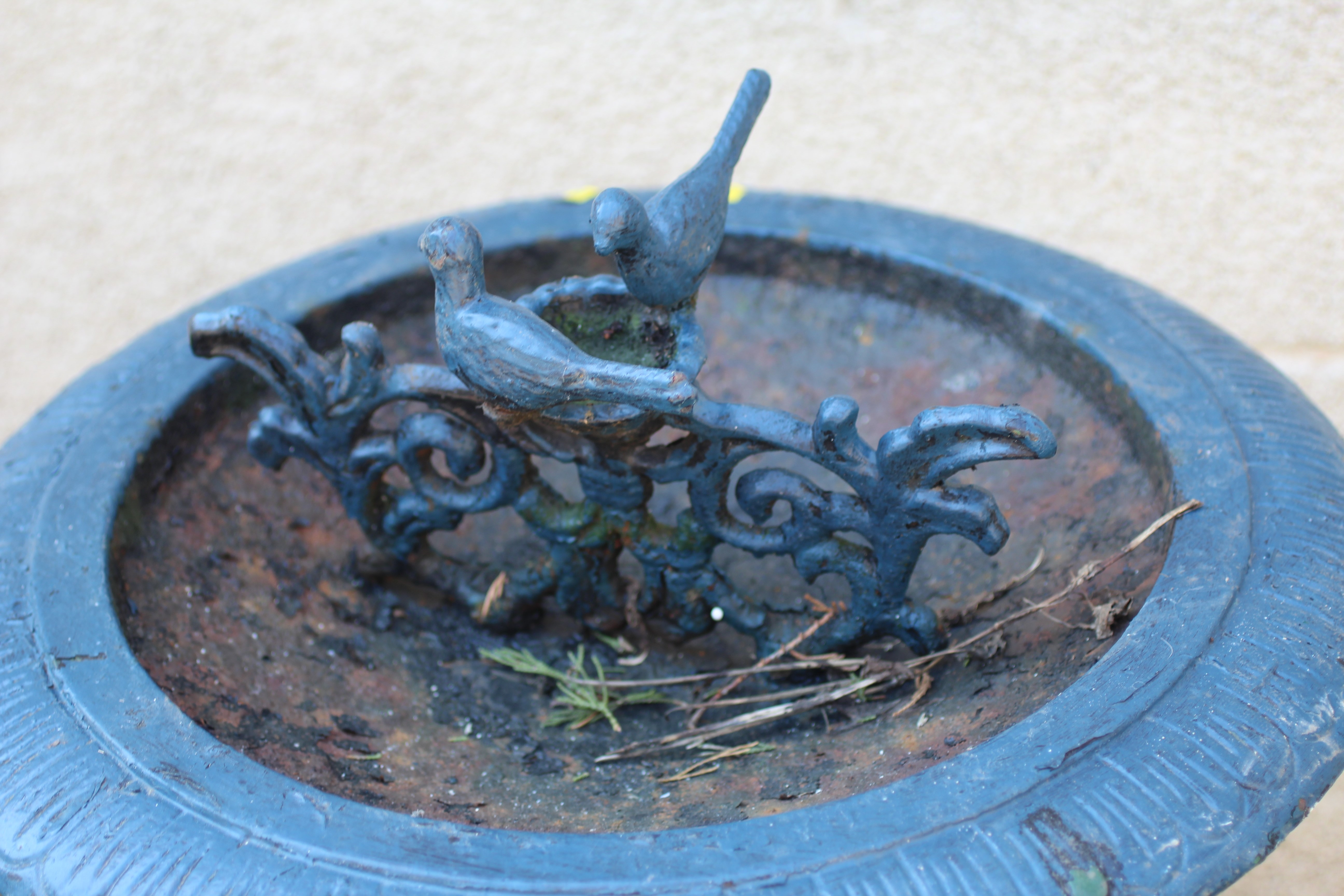 A CAST IRON BIRD BATH, the shallow bowl with egg and dart moulded rim and pierced scroll centre Image
