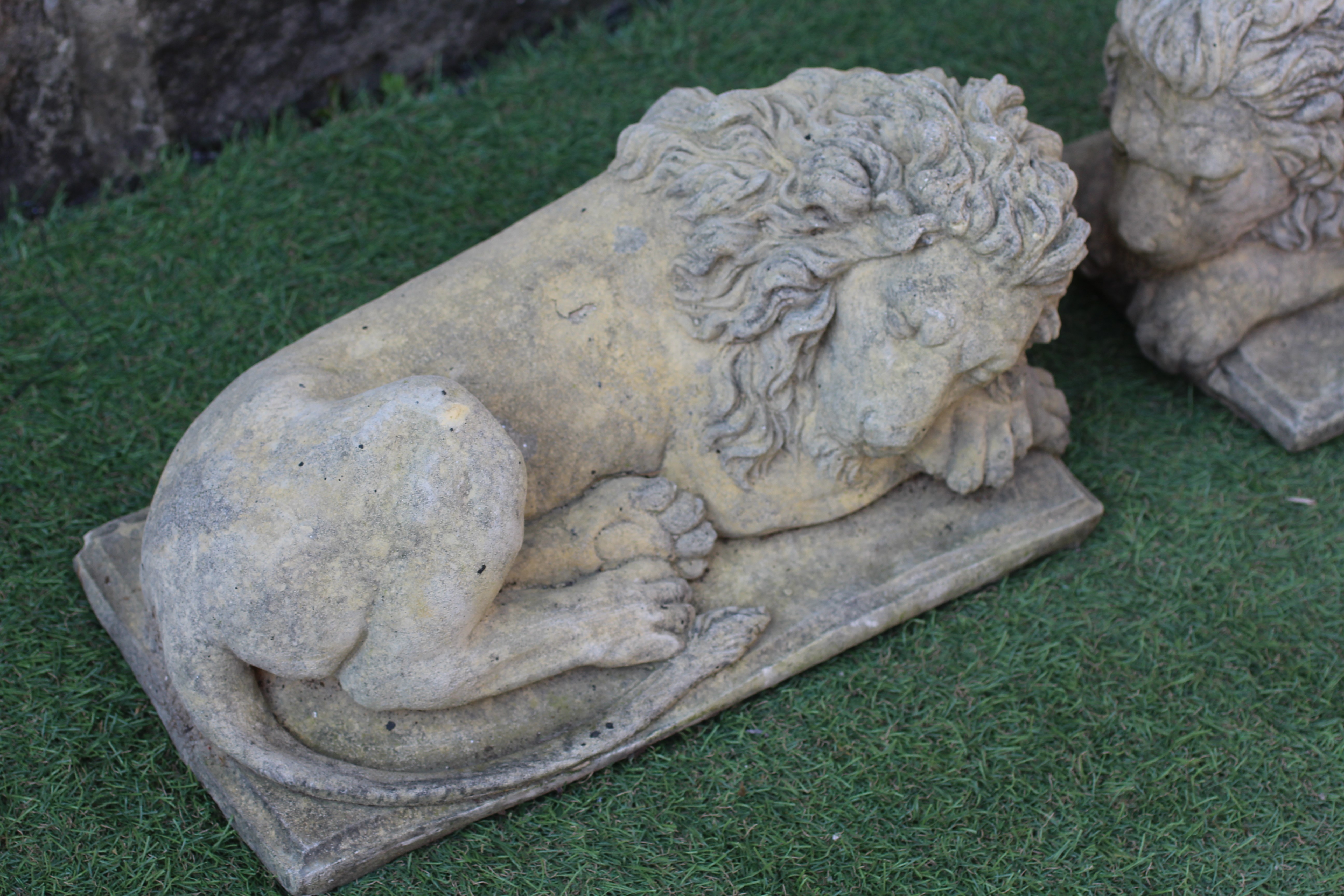A PAIR OF CAST STONE RECUMBENT LIONS on square bases, 17" w x 8" d x 8 1/2" h Image