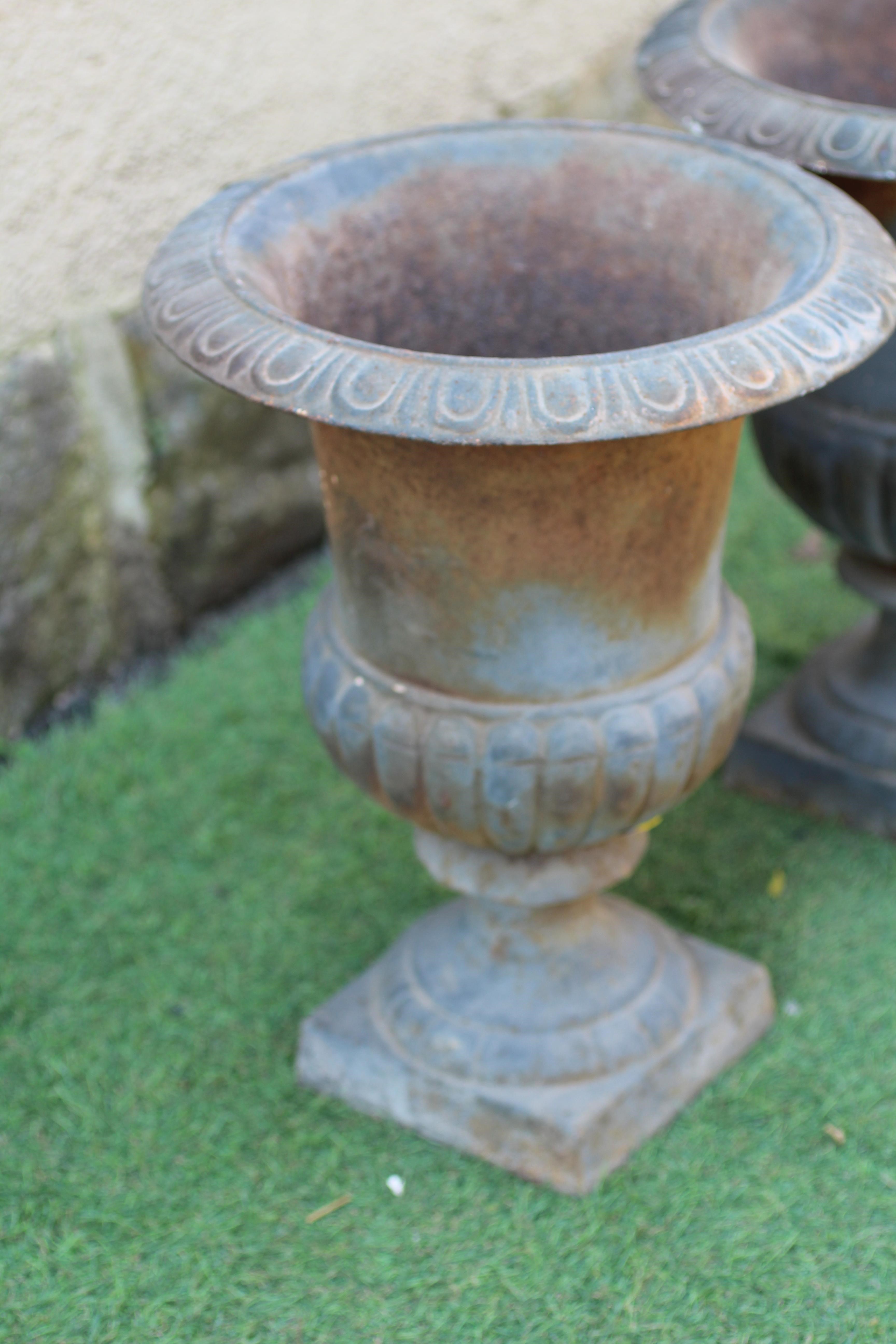 A PAIR OF SMALL CAST IRON URNS, modern, of half fluted campana form with egg and dart moulded rim, Image