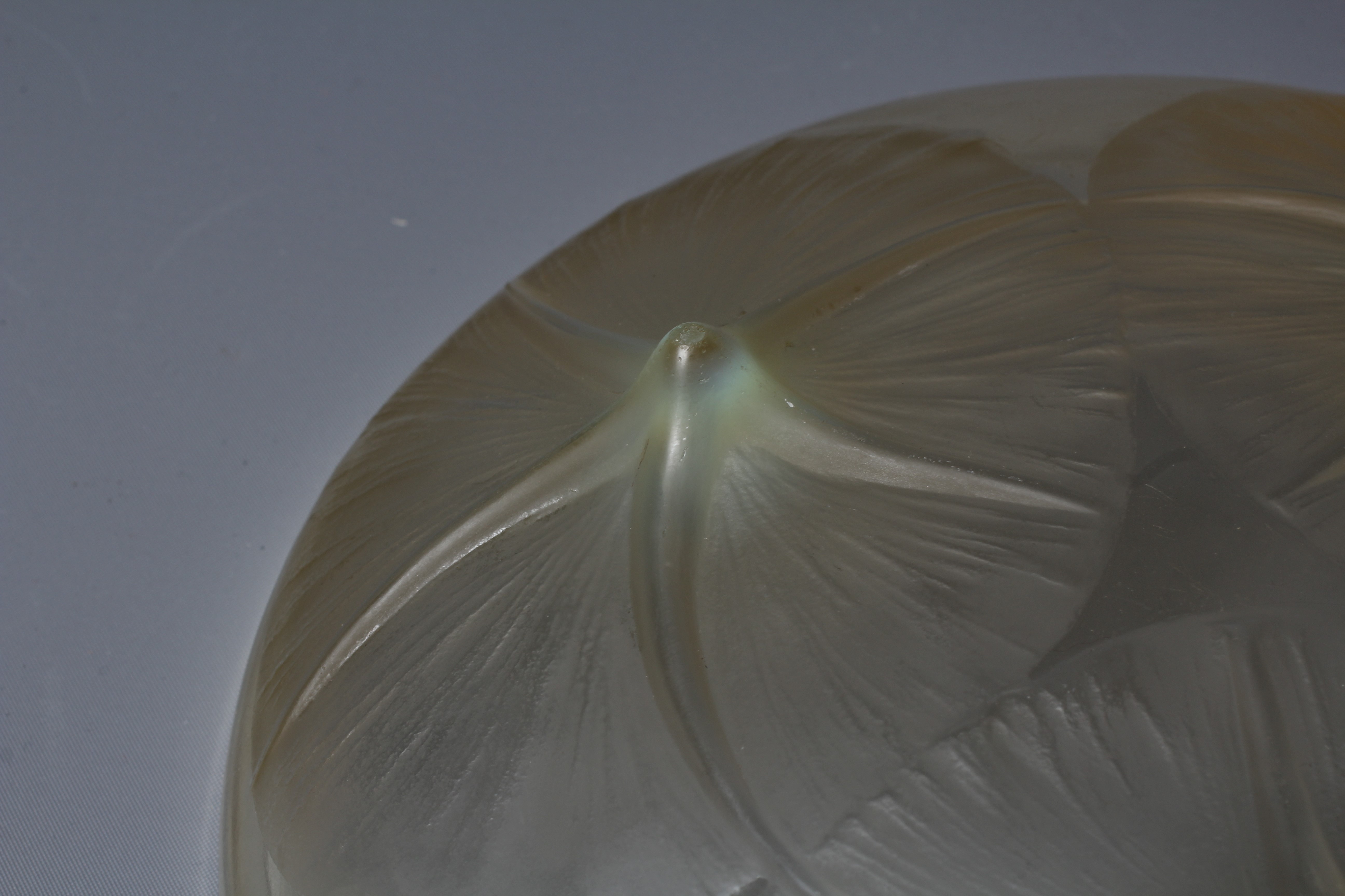 A LALIQUE AMBER GLASS VOLUBILIS SHALLOW DISH, wheel cut mark, 8 1/2" diameter Image