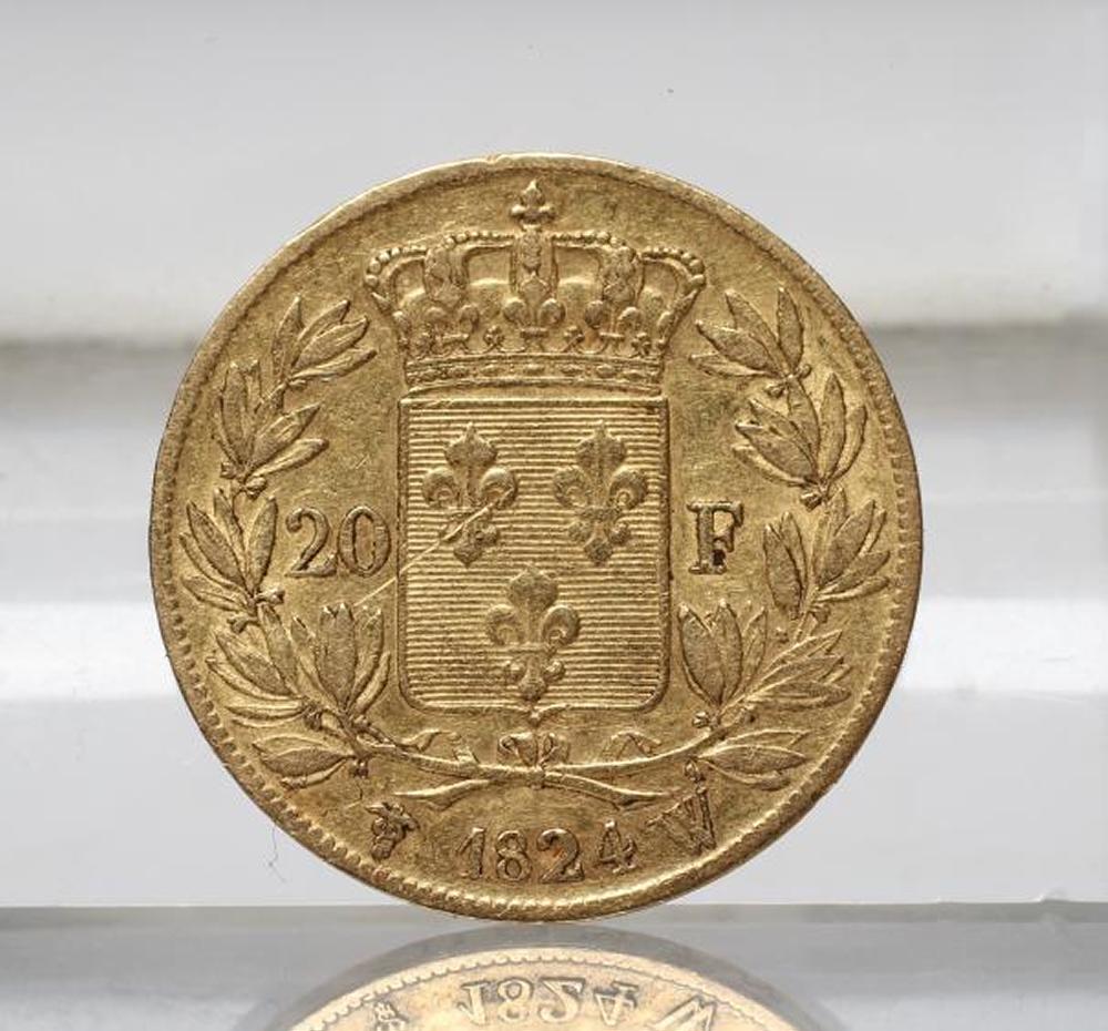 A LOUIS XVIII 20 FRANC COIN Image