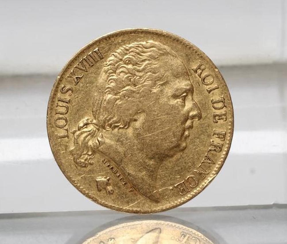 A LOUIS XVIII 20 FRANC COIN Image