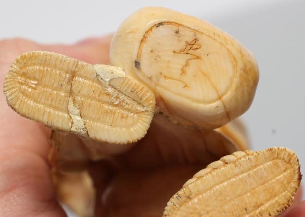 A JAPANESE ONE PIECE IVORY OKIMONO Image