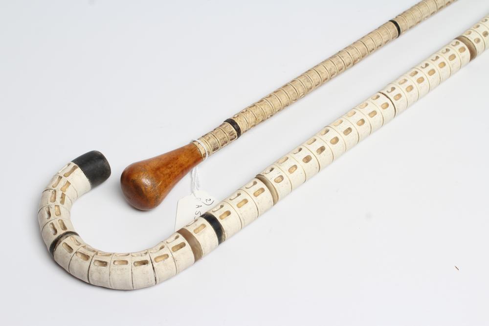 TWO VERTEBRAE WALKING STICKS Image