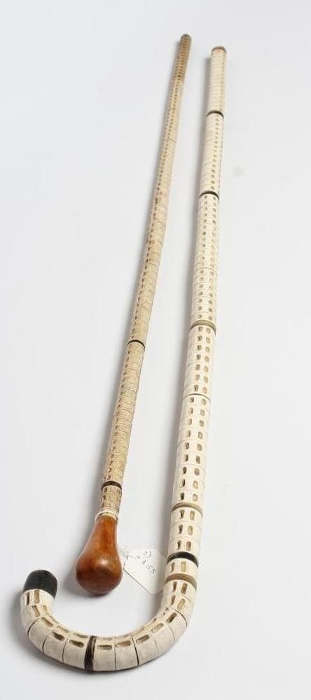 TWO VERTEBRAE WALKING STICKS Image