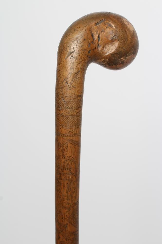 A WALKING STICK Image