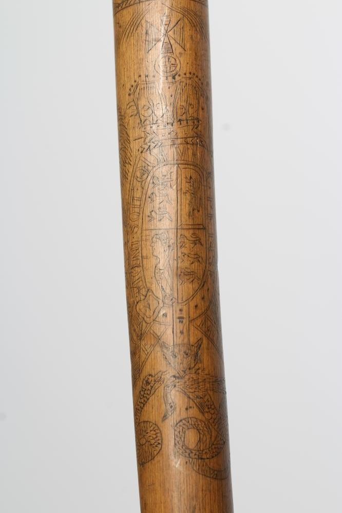 A WALKING STICK Image