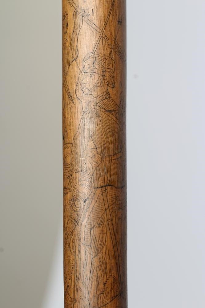 A WALKING STICK Image