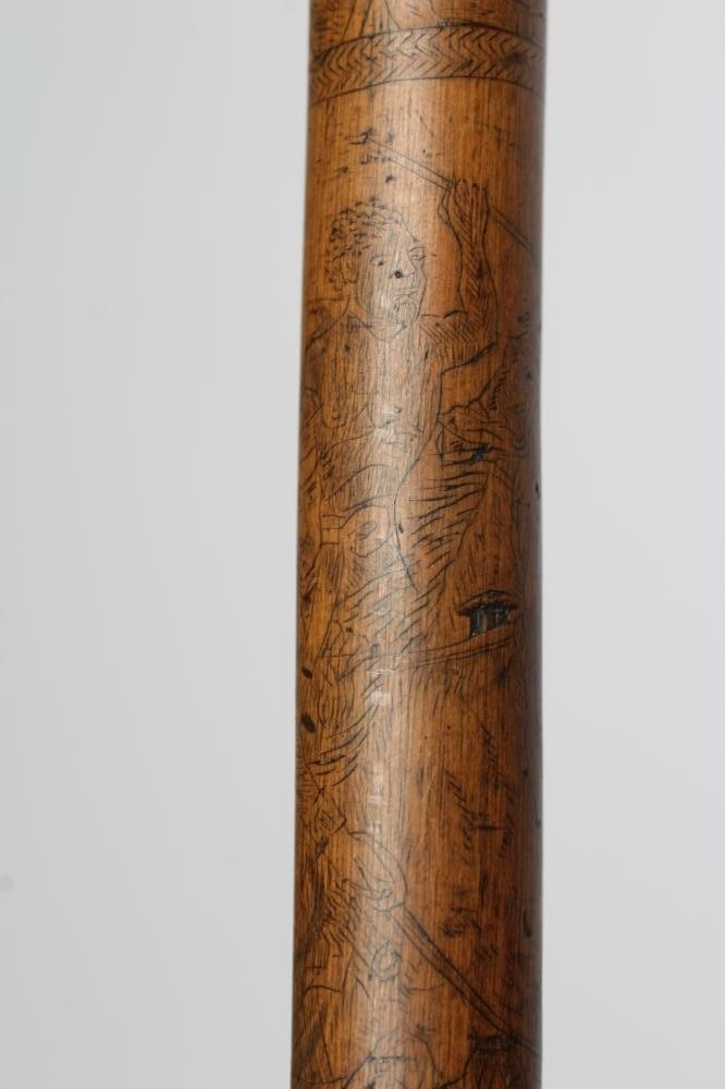 A WALKING STICK Image