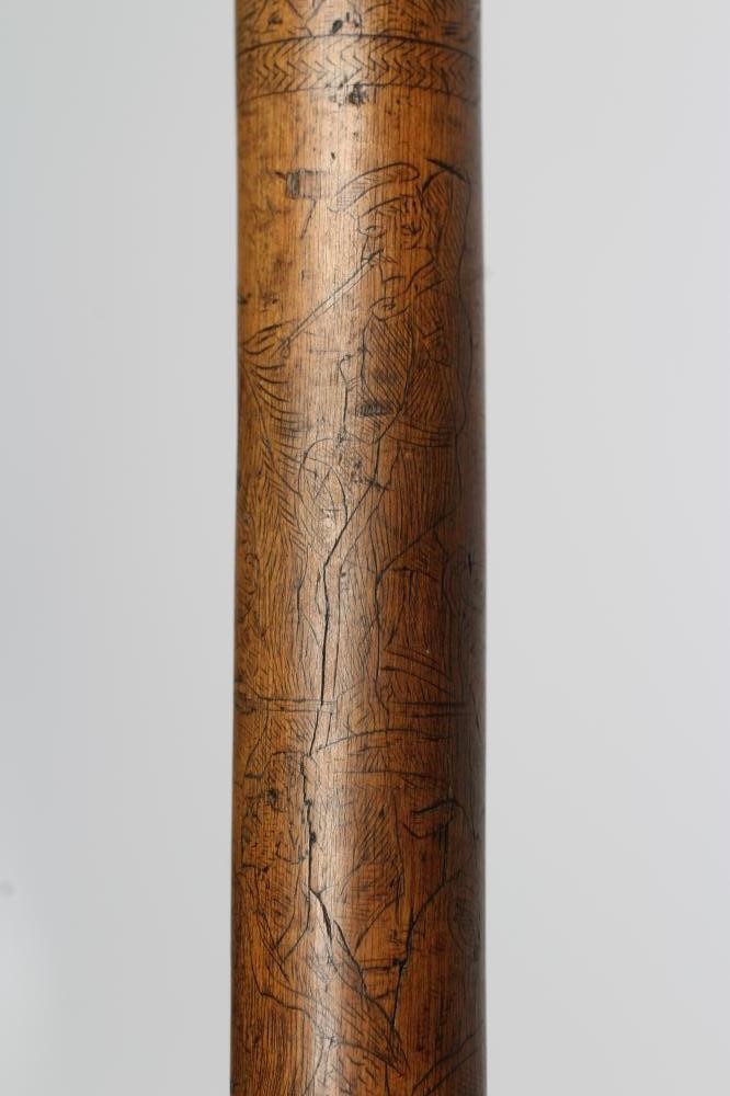 A WALKING STICK Image