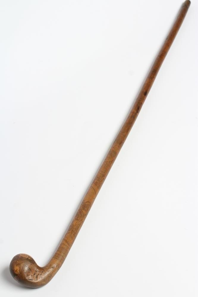 A WALKING STICK Image