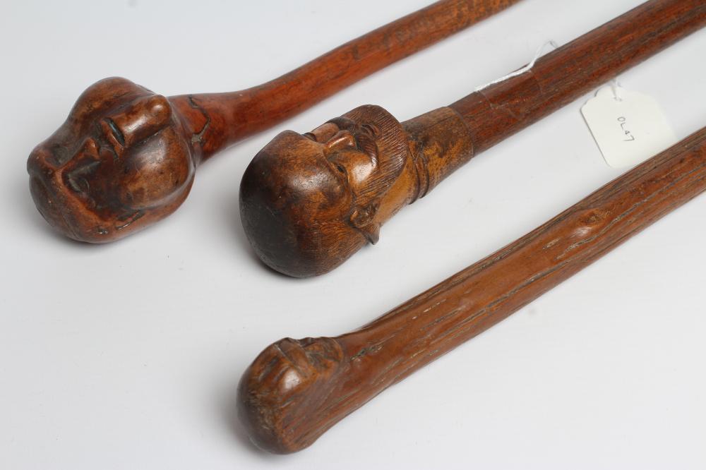 THREE WALKING STICKS Image