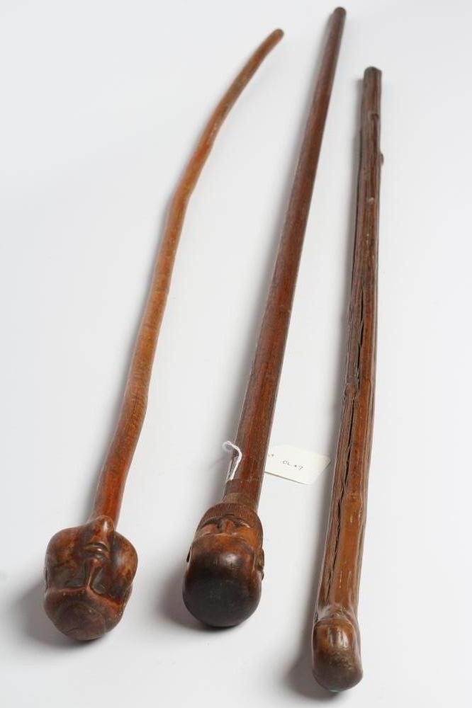 THREE WALKING STICKS Image