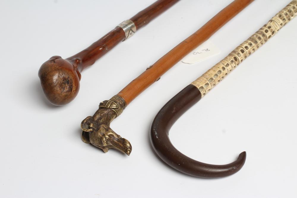 A VERTEBRAE WALKING CANE Image