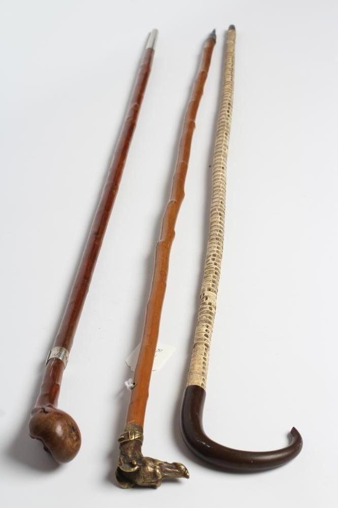 A VERTEBRAE WALKING CANE Image