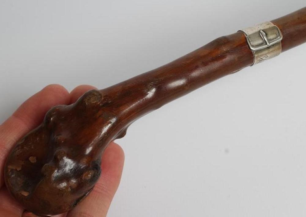 A VERTEBRAE WALKING CANE Image