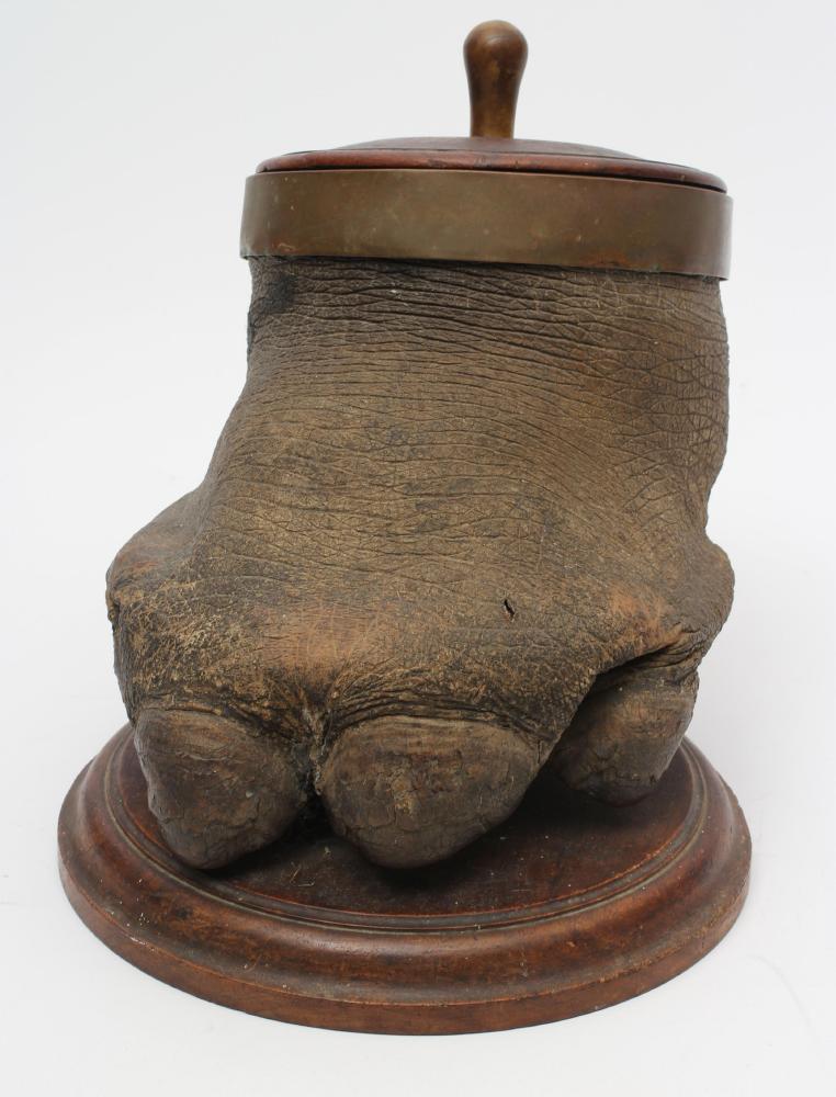 A TAXIDERMY HIPPOPOTAMUS FOOT Image