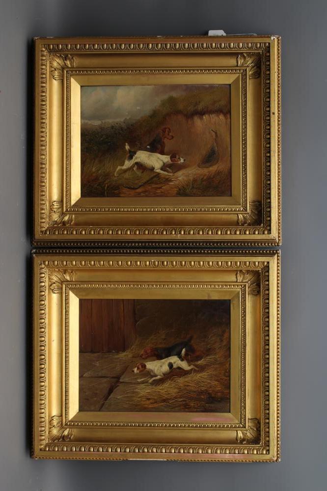 COLIN GRAEME ROE (1858-1910) Image