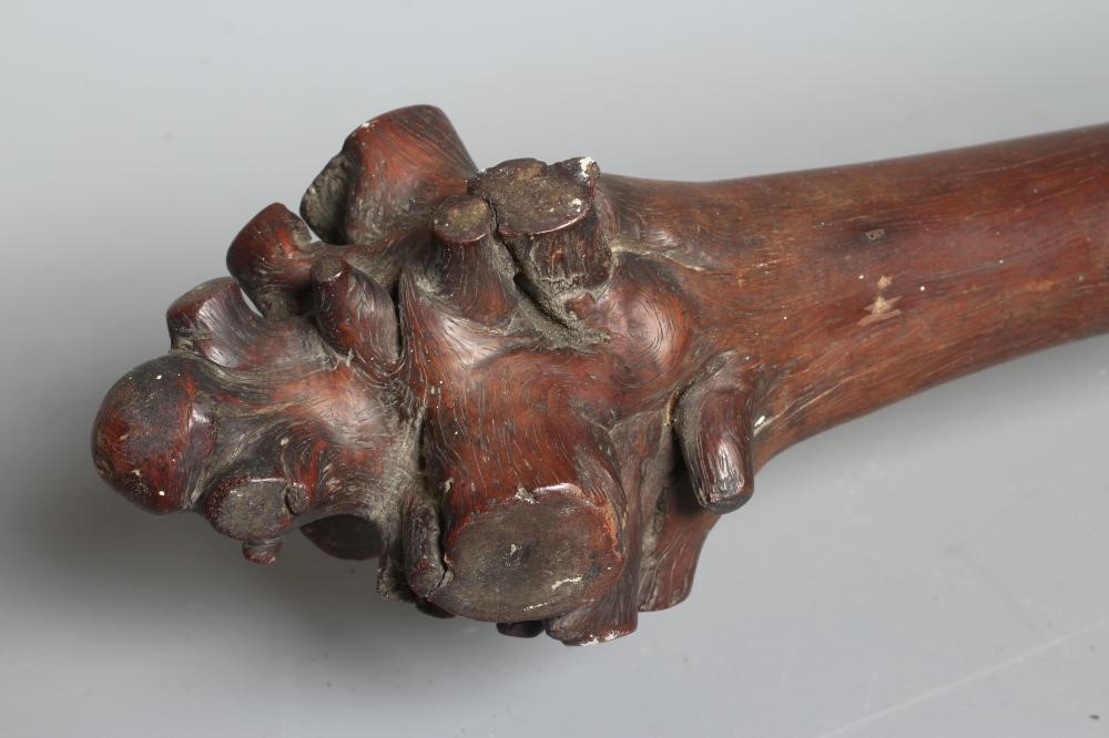 A FIJIAN VANIKAU CLUB MELANESIA, possibly late 19th century, with root head, long cylindrical shaft Image