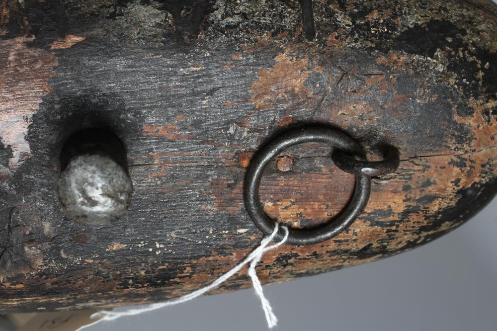 AN AMERICAN DECOY DUCK Image