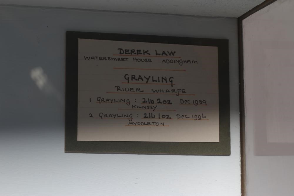 A BOW FRONT CASED PAIR OF GRAYLING by Bywater Taxidermy Image