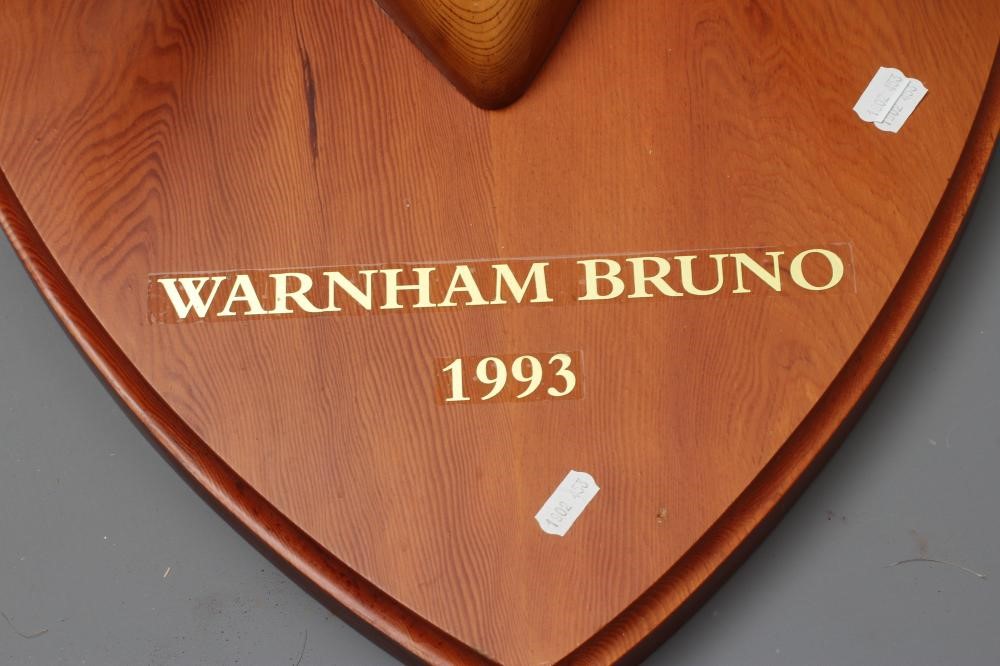 A MONARCH SET OF MOUNTED RED STAG ANTLERS with eight points on each side, mounted on a wooden shield Image