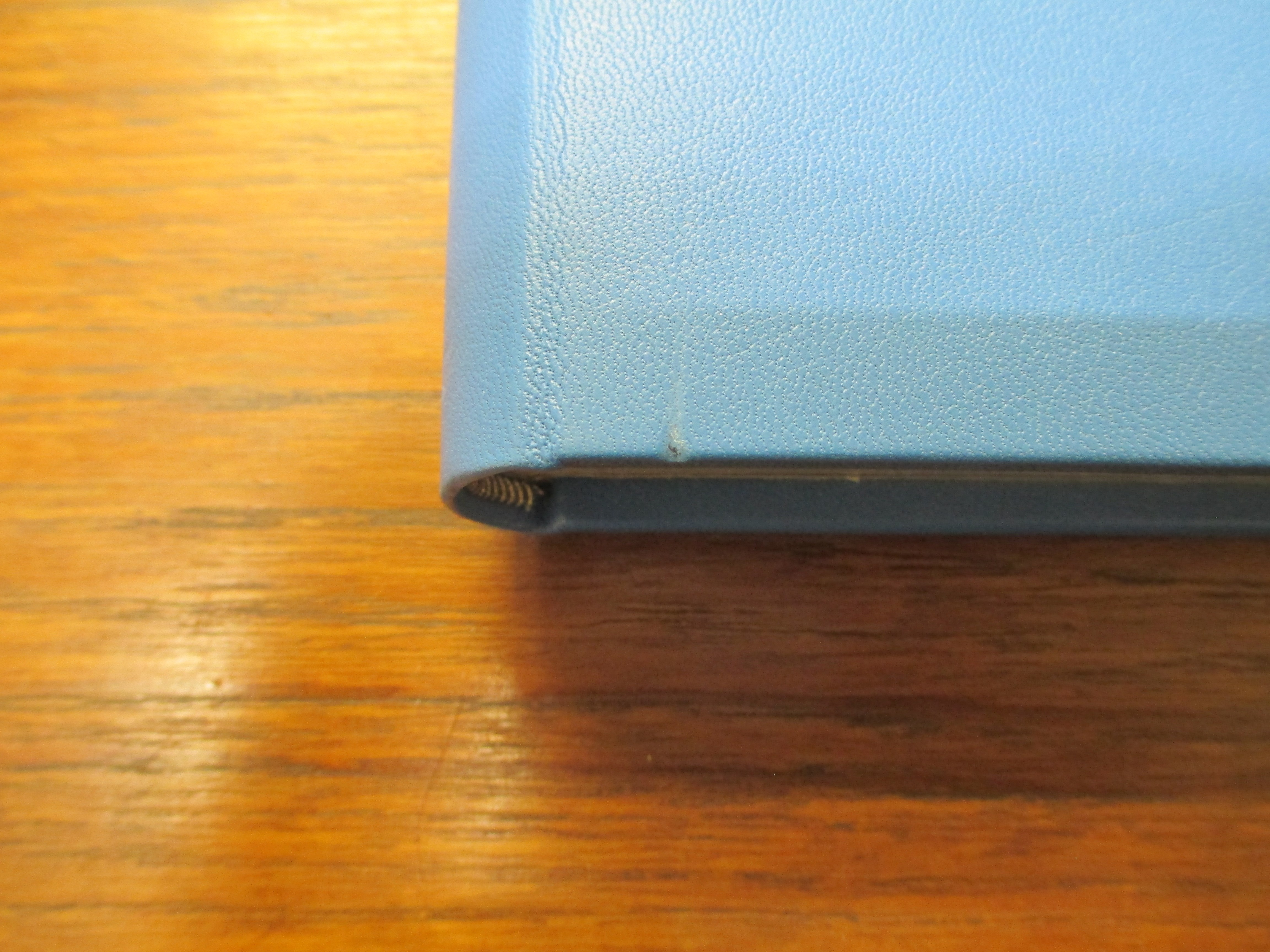 MOONAGE DAYDREAM Image