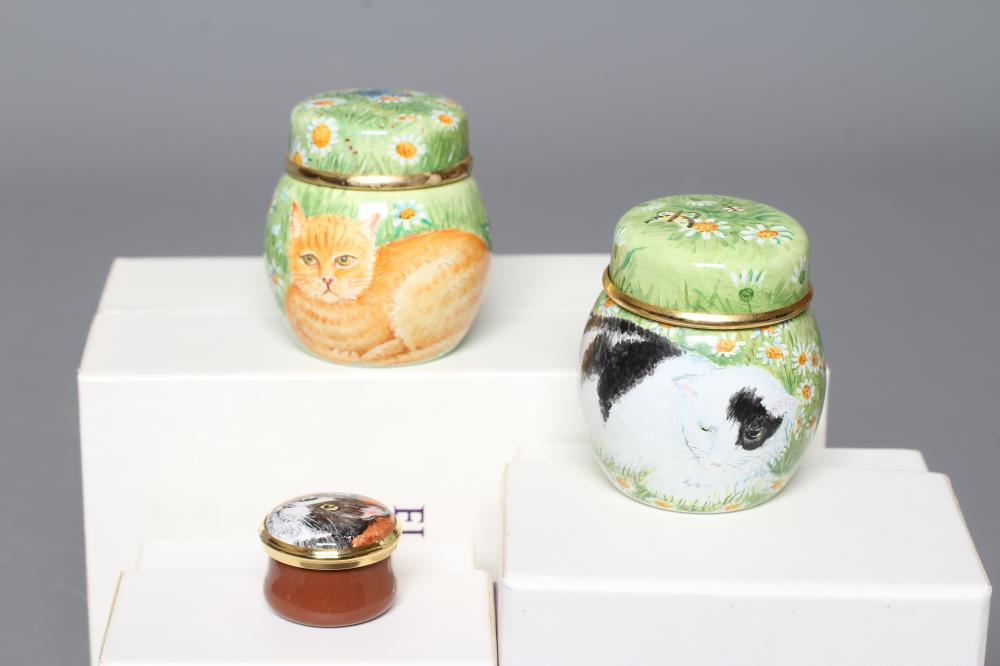 AN ELLIOT HALL ENAMEL JAR AND COVER by Fiona Bakewell painted with a black and white cat Image