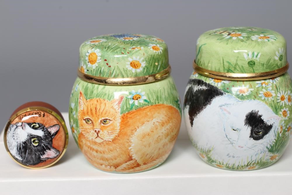 AN ELLIOT HALL ENAMEL JAR AND COVER by Fiona Bakewell painted with a black and white cat Image