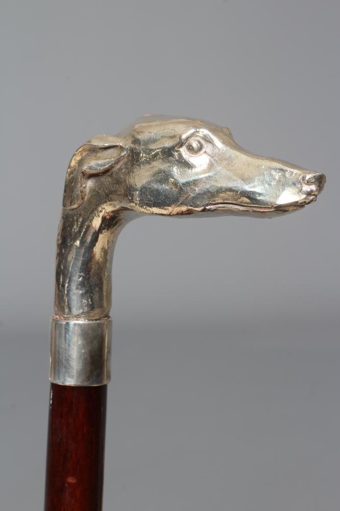 A SILVER MOUNTED GREYHOUND HEAD WALKING CANE Image