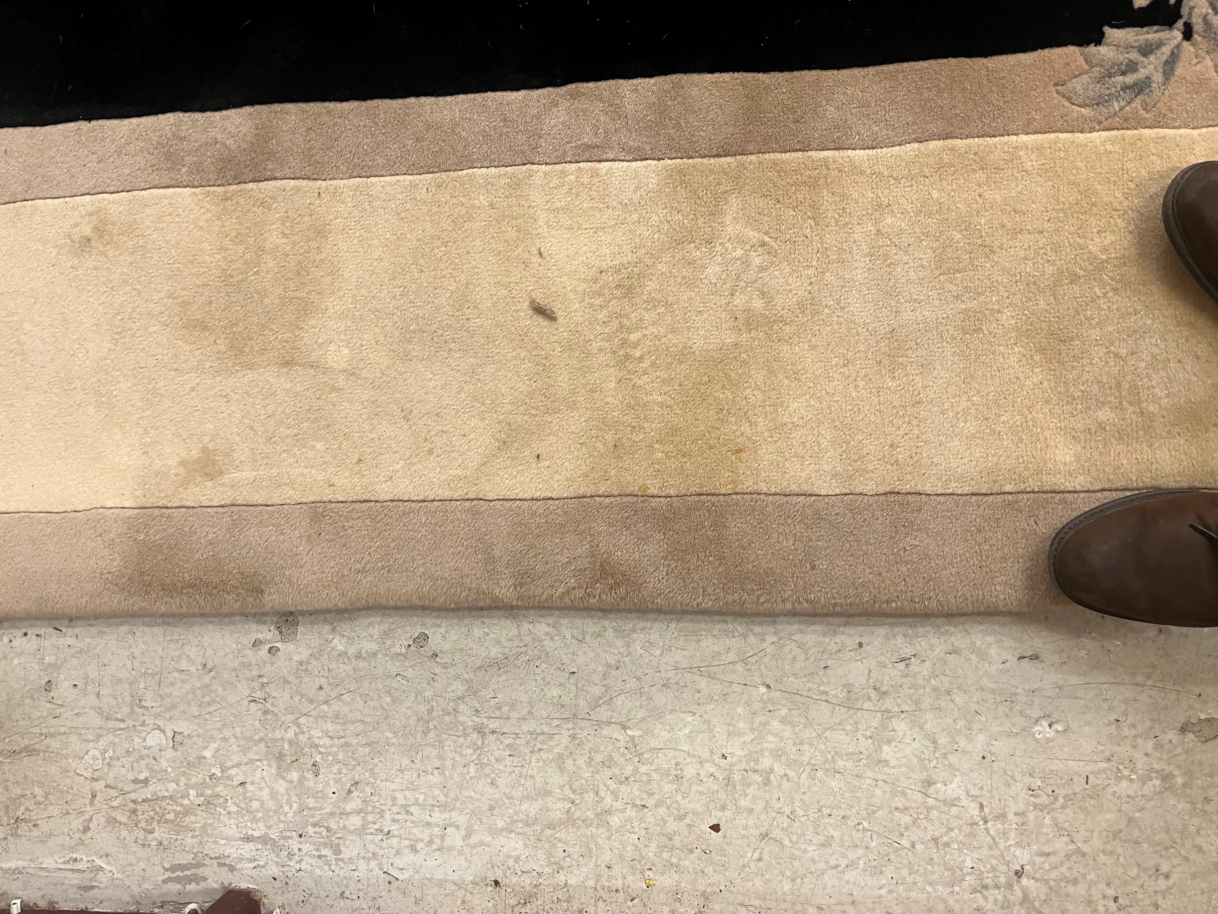 A CHINESE WASHED AND FRINGED CARPET, modern, the black field within a two tone champagne border, Image