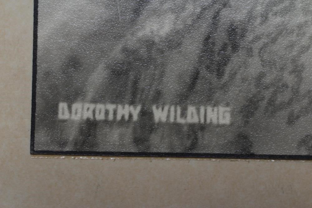 DOROTHY WILDING (1893-1976) Queen Elizabeth II Image