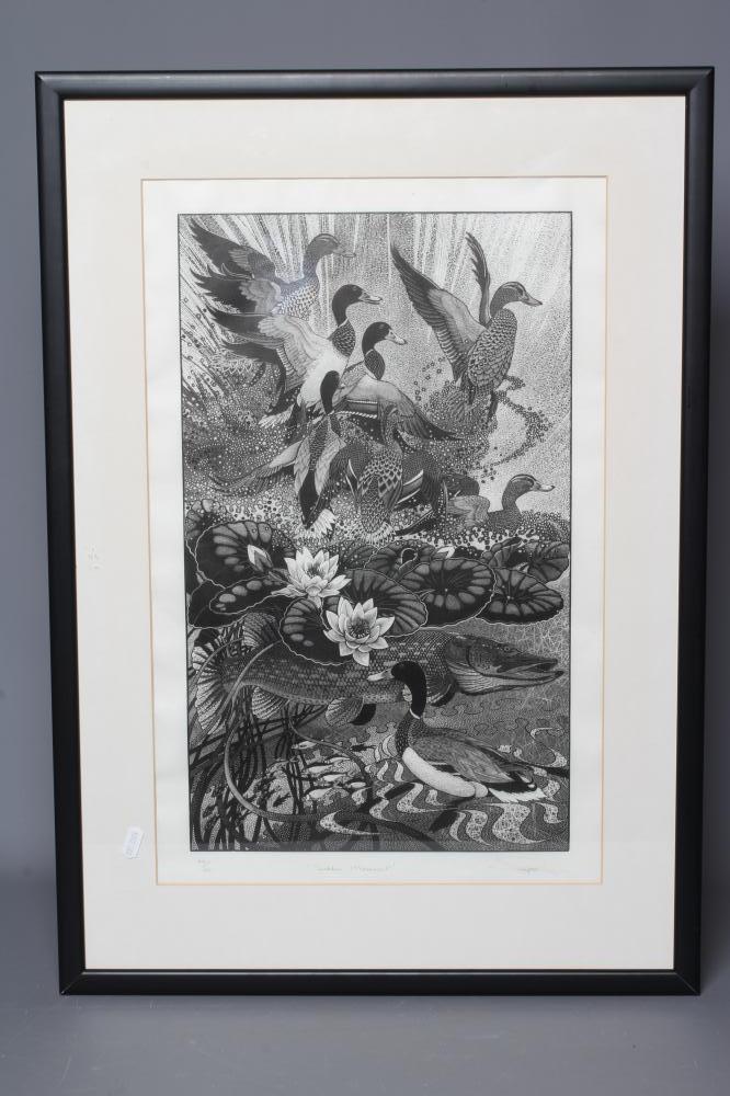 COLIN SEE-PAYNTON (b.1946) Sudden Movement Image