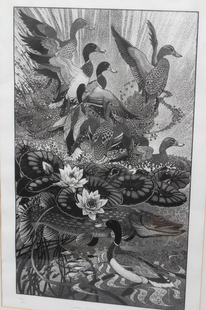 COLIN SEE-PAYNTON (b.1946) Sudden Movement Image