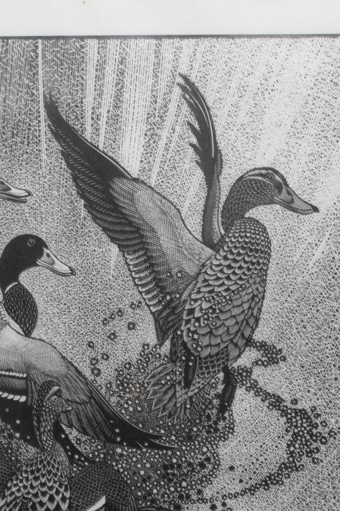 COLIN SEE-PAYNTON (b.1946) Sudden Movement Image