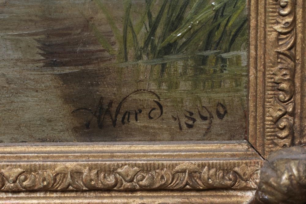 A WARD (British School Image