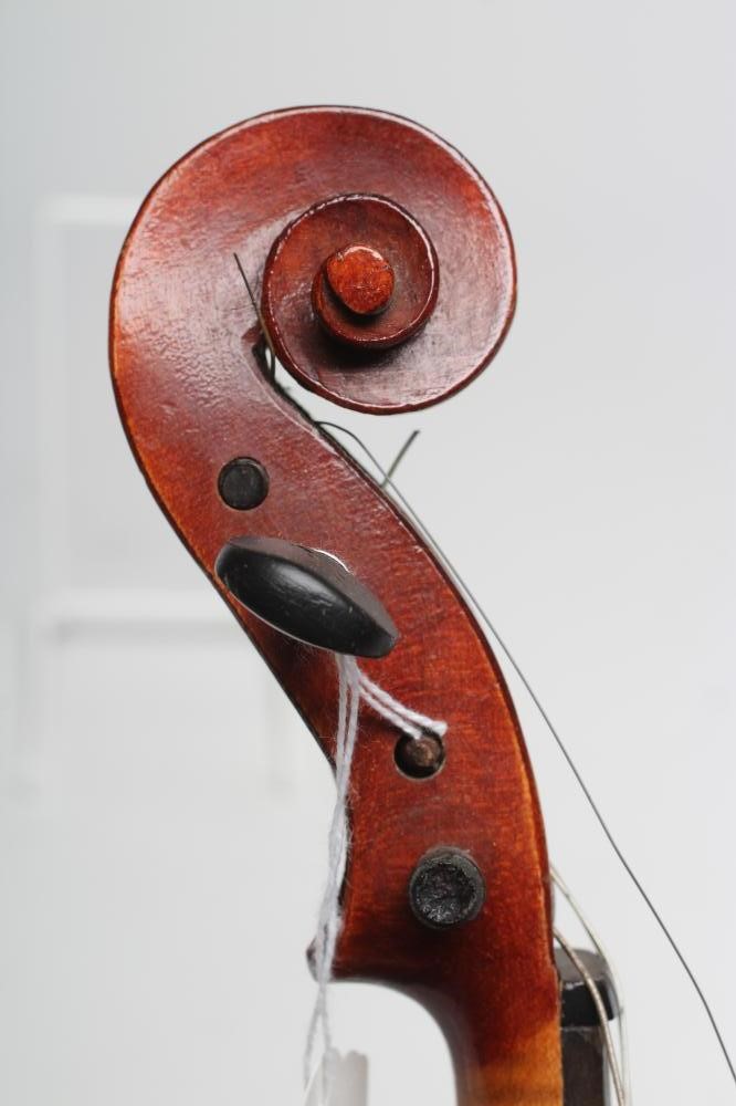 A SMALL VIOLIN Image