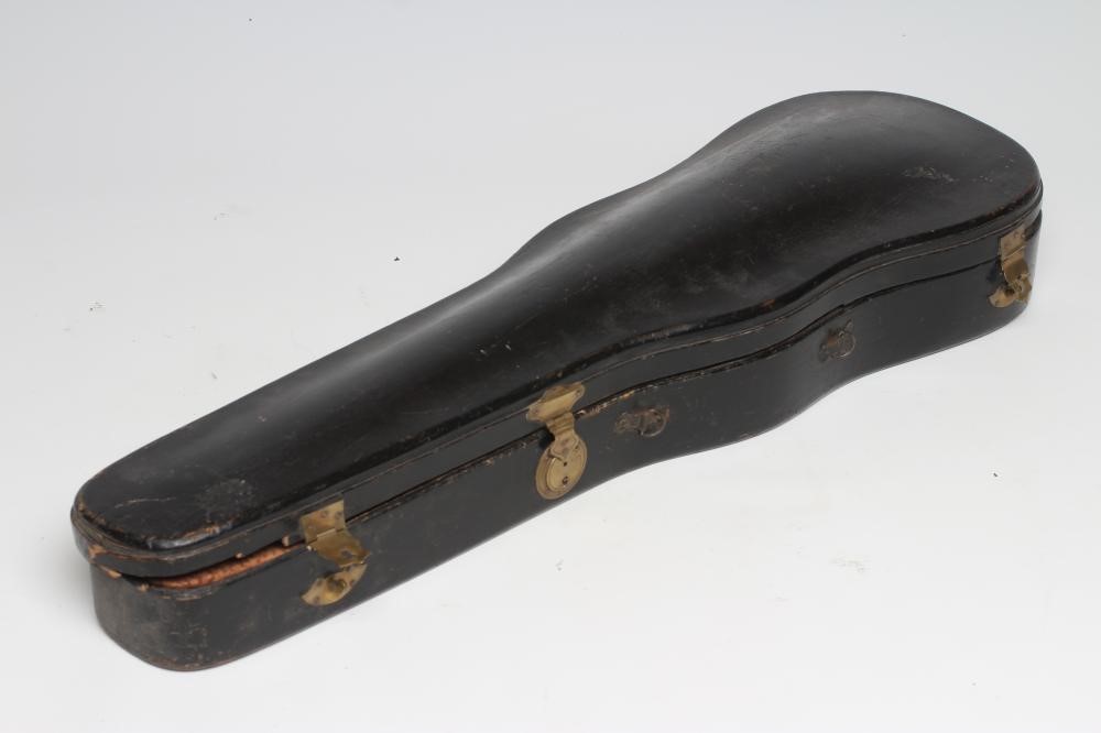 A SMALL VIOLIN Image