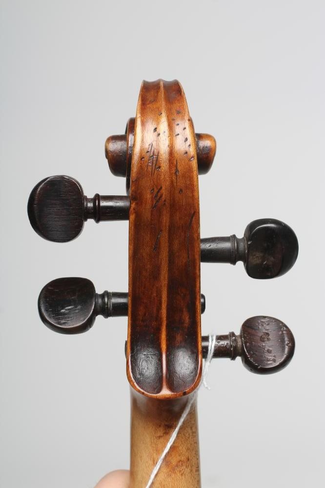 A VIOLIN by Norman Duke Image