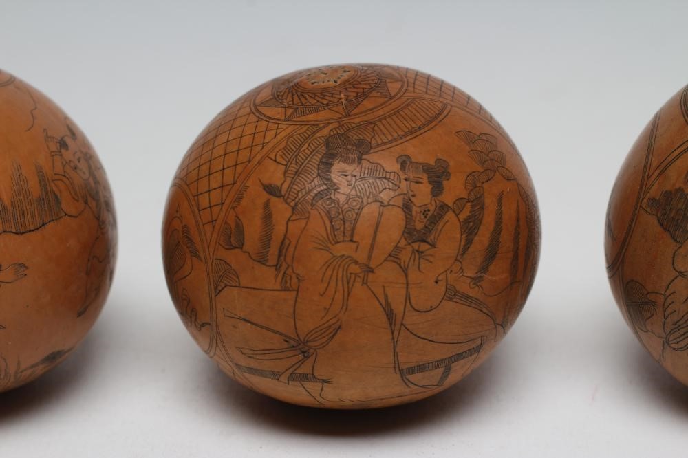 FOUR JAPANESE SEED PODS Image