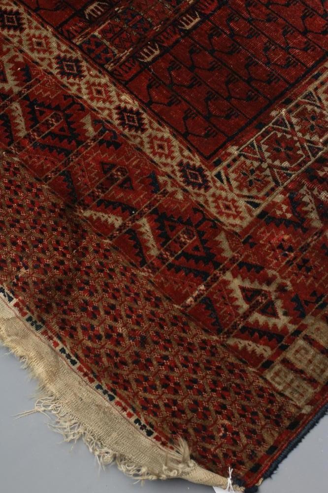 AN AFGHAN RUG Image