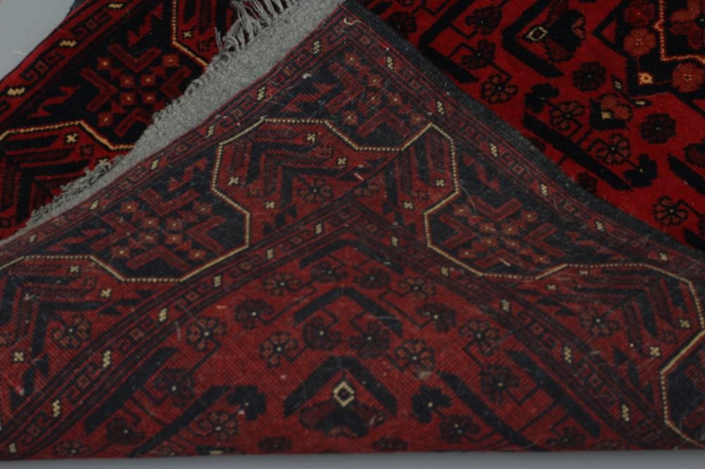 A PERSIAN RUNNER Image