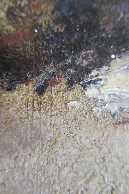 HERBERT F. ROYLE (1870-1958) Image