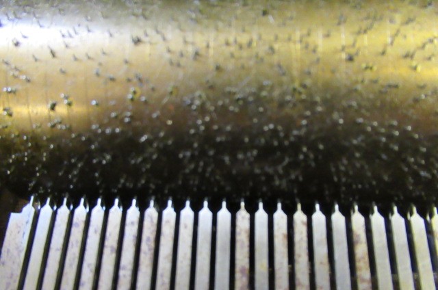 A VICTORIAN SWISS MUSICAL BOX Image