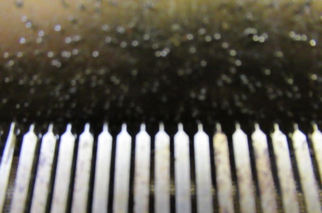 A VICTORIAN SWISS MUSICAL BOX Image